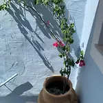Dom wakacyjny Little House